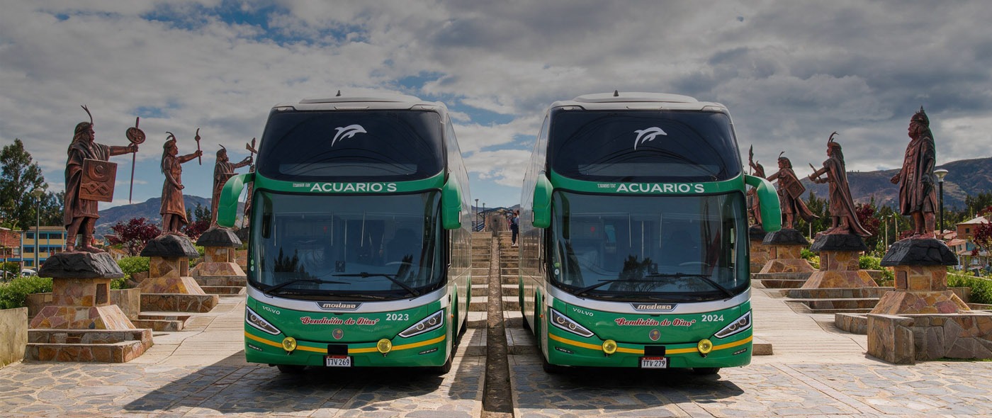 Banner Cargo